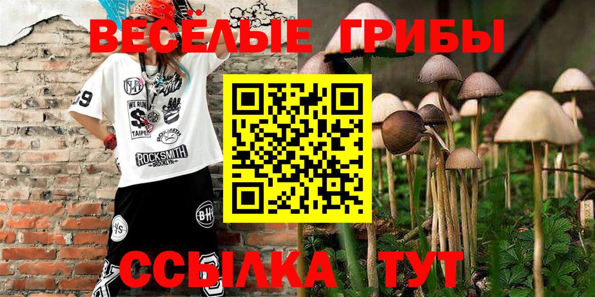 Галлюциногенные грибы мицелий Владивосток